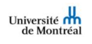 logo-5