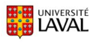 logo-6